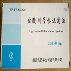 盐酸川芎嗪注射液/天武