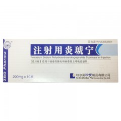 (集)注射用炎琥宁/珍宝岛